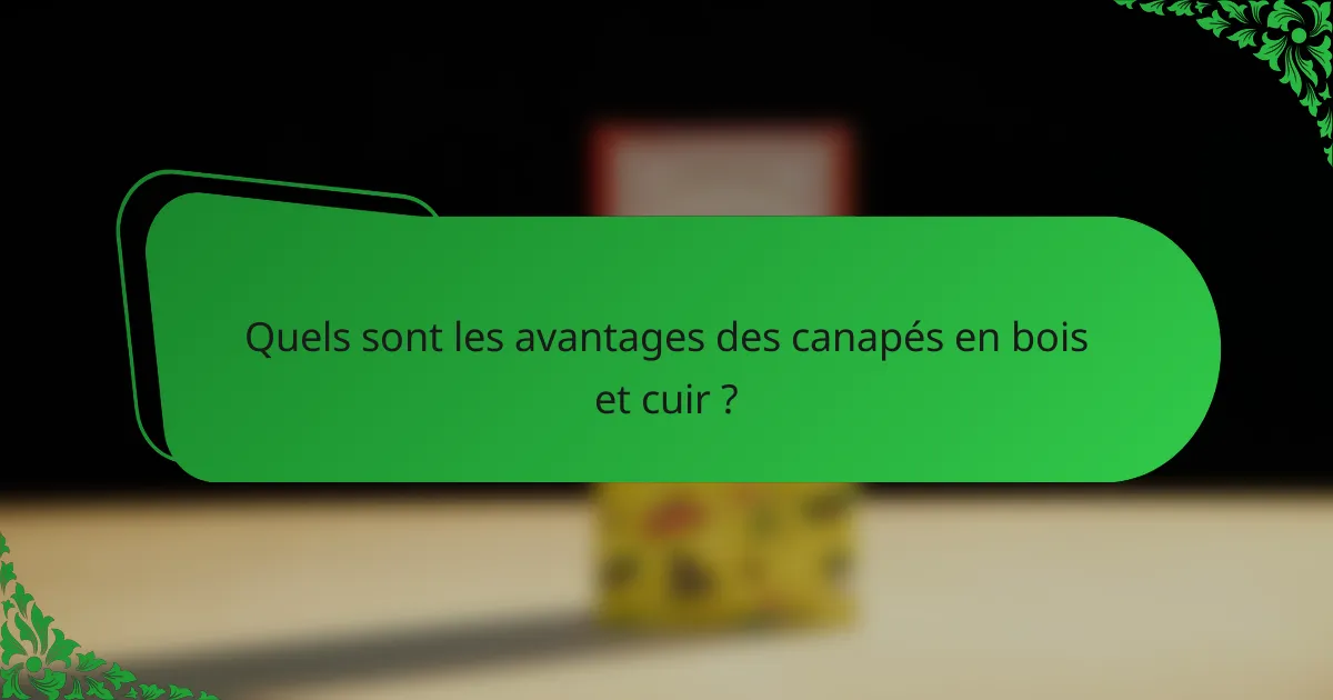 Quels sont les avantages des canapés en bois et cuir ?