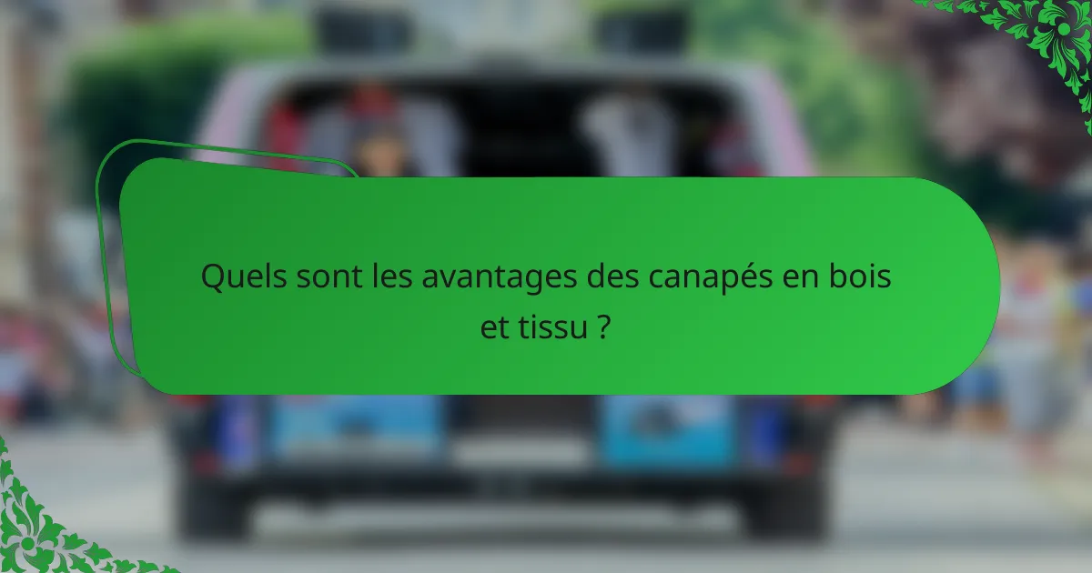Quels sont les avantages des canapés en bois et tissu ?